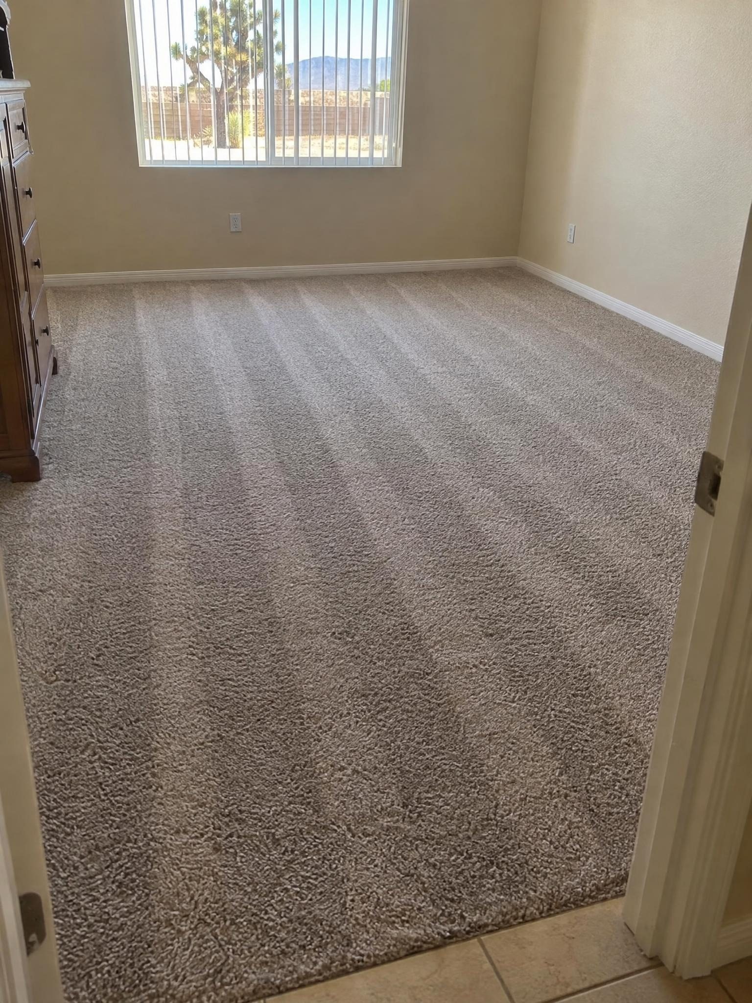 Bedroom carpet freshly cleaned with wand lines