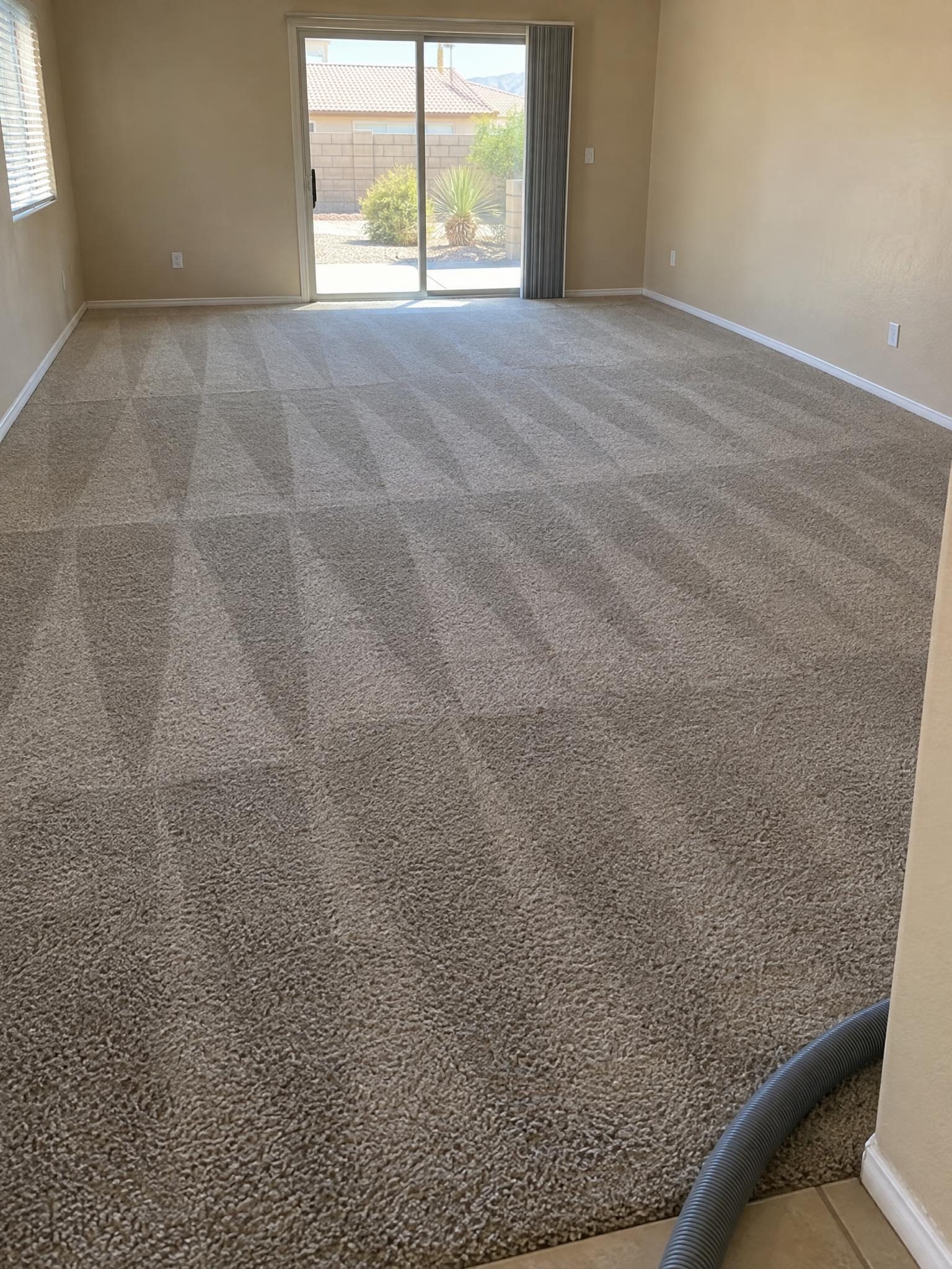 An empty living room right after a steam clean, with fresh wand stripes across the carpet