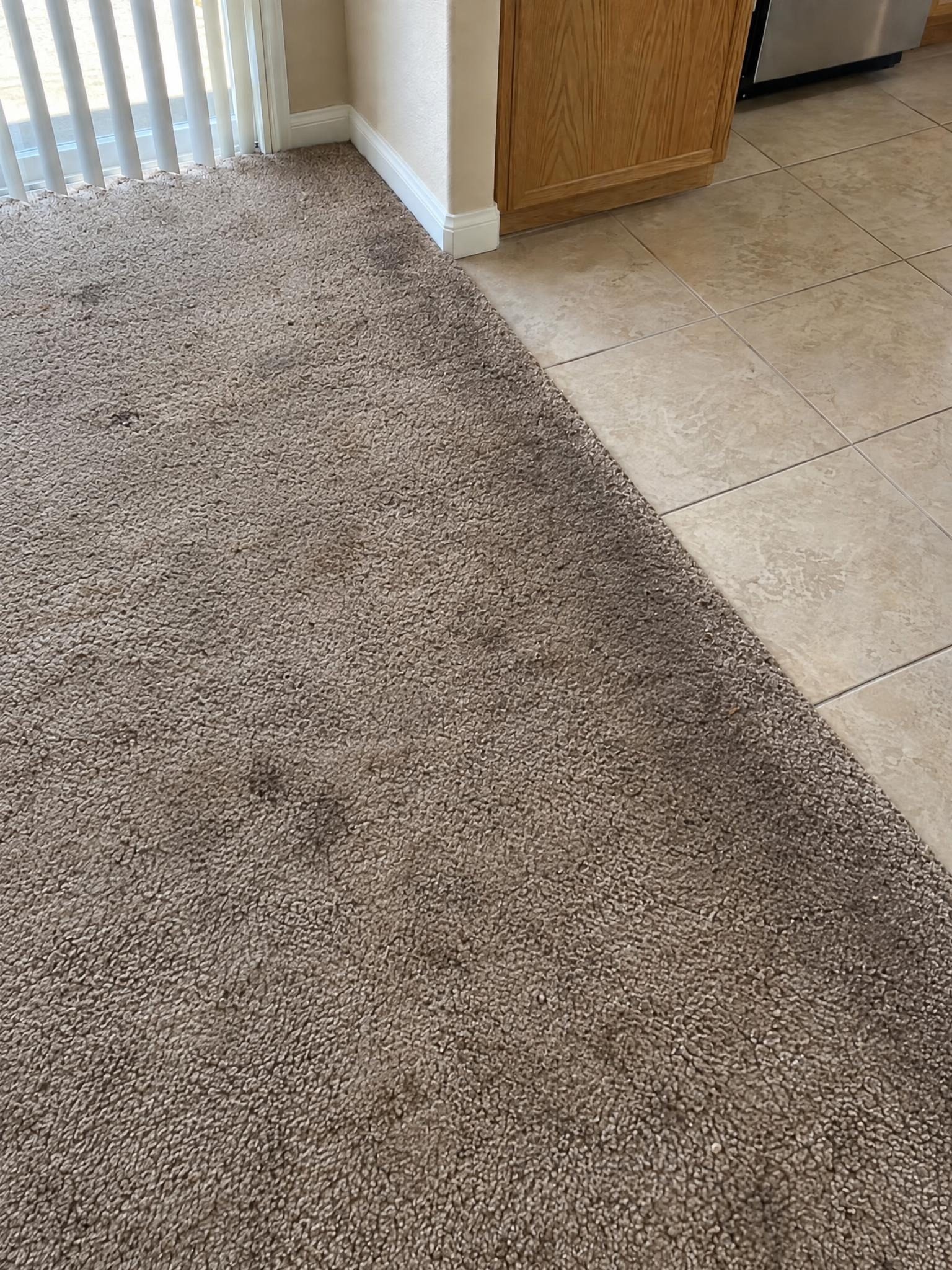 Before: soiled carpet at the edge of a kitchen's tile floor
